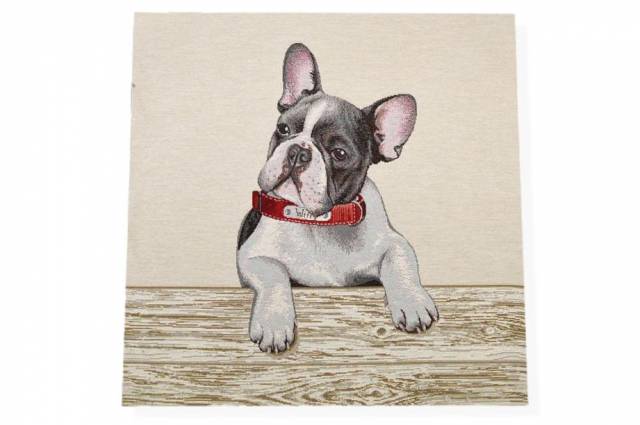 Vendita on line gobelin fantasia bulldog 13469 misura cm 47x47 - tessuti arredo casa
